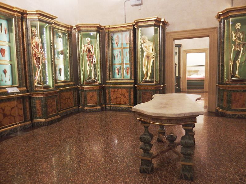 bologna museo di palazzo poggi cere anatomiche 2